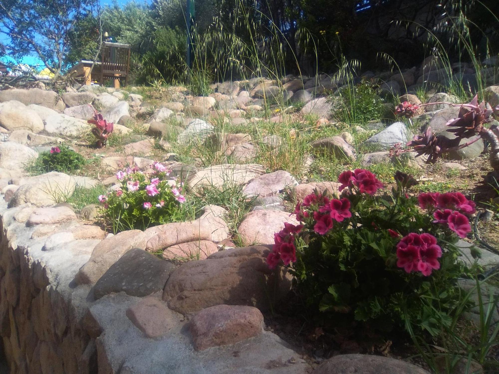 Guest house Il Locandiere Capitana